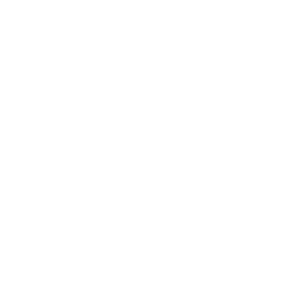 Acoustic Guitar
