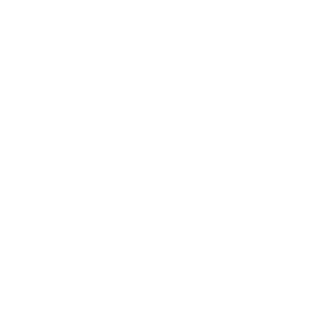 Electric Guitar